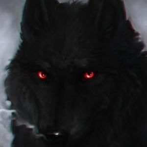 Meet your Posher, Zack